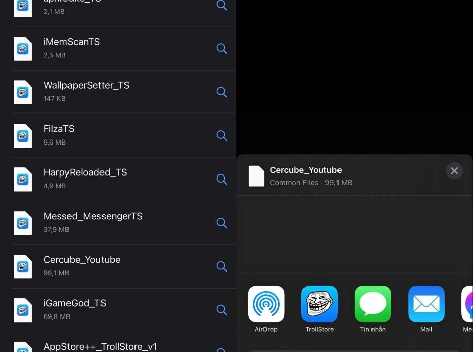 TrollStore - hình 8