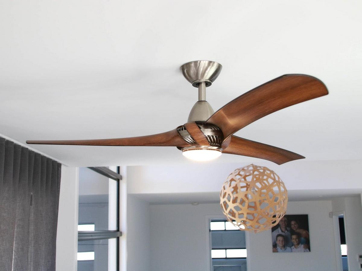 quạt trần quay chậm - hình 1