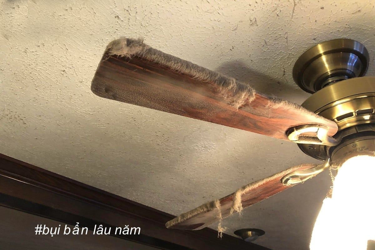 quạt trần quay chậm - hình 2