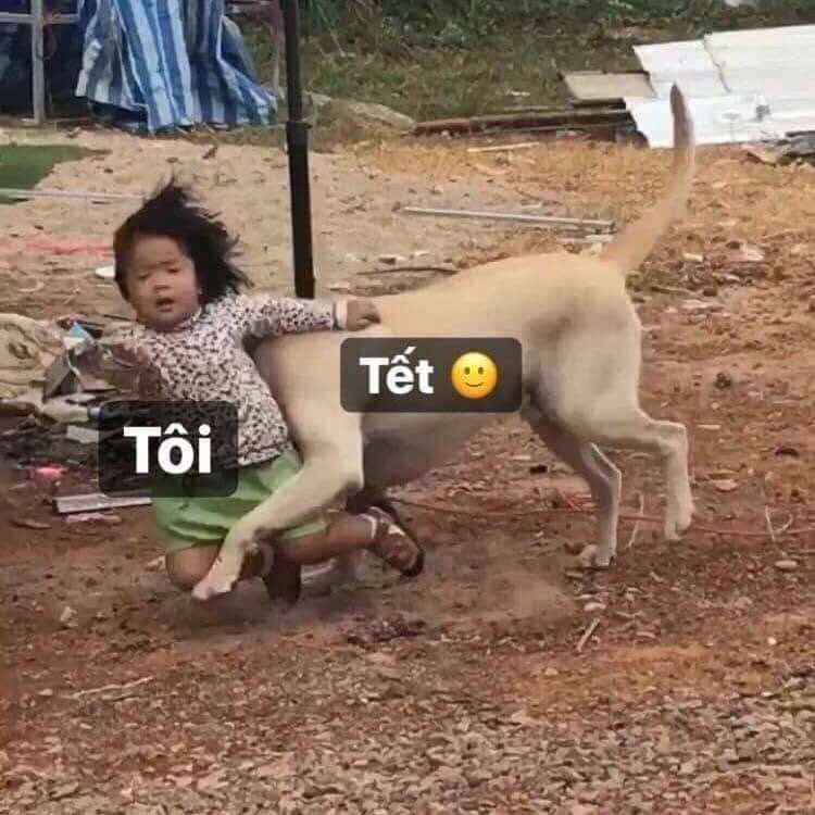 troll là gì 4
