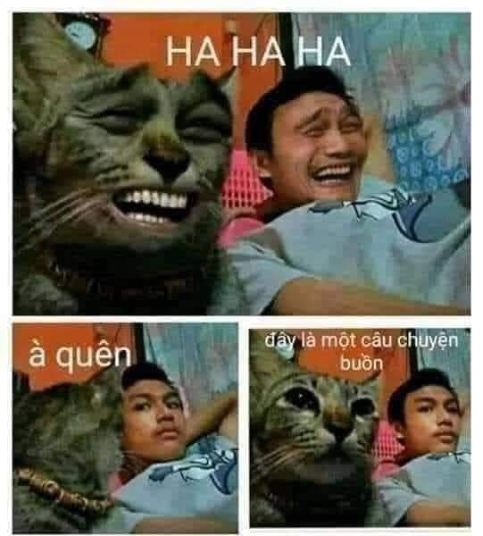 troll là gì 6