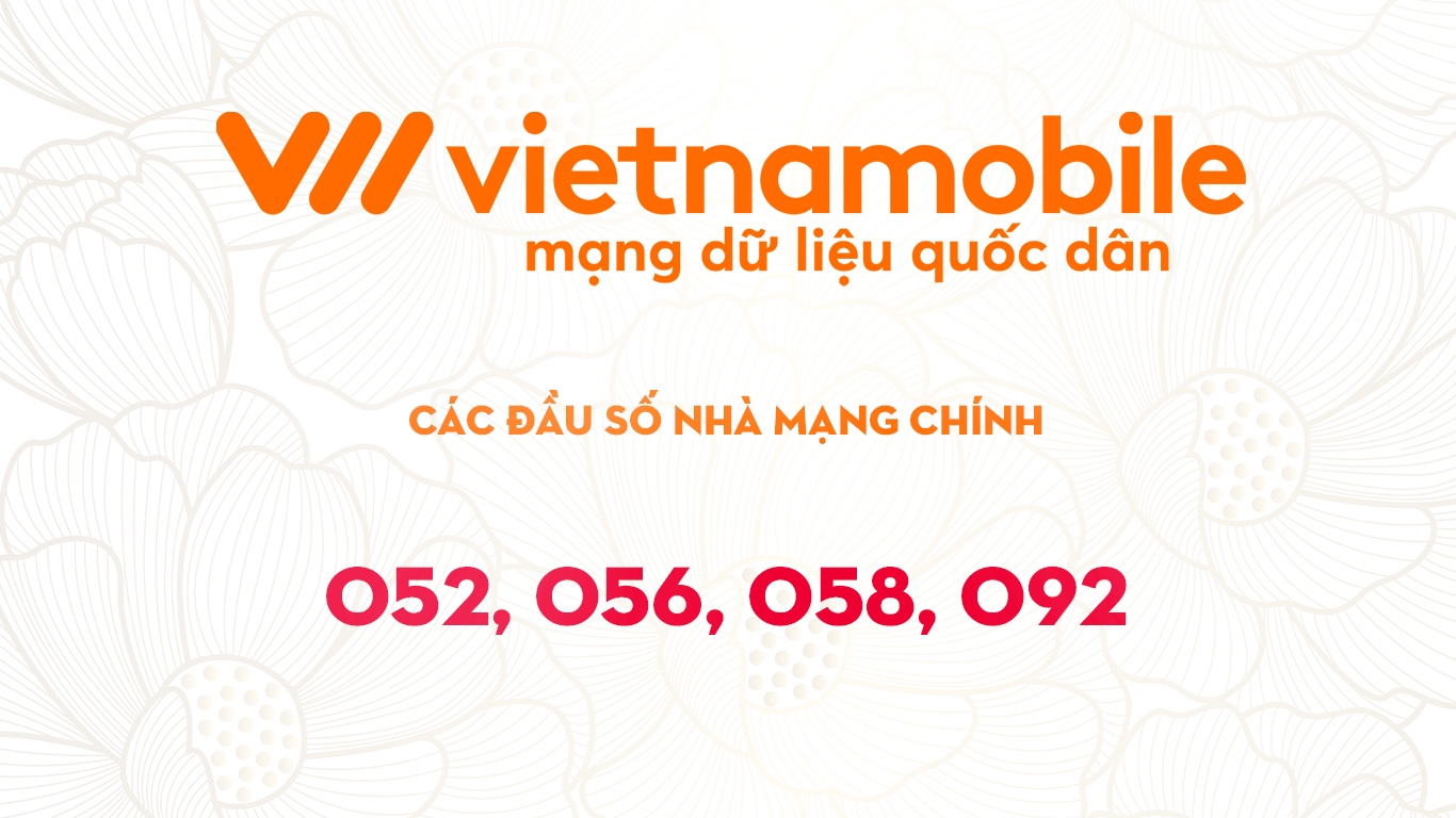 các đầu số nhà mạng 5