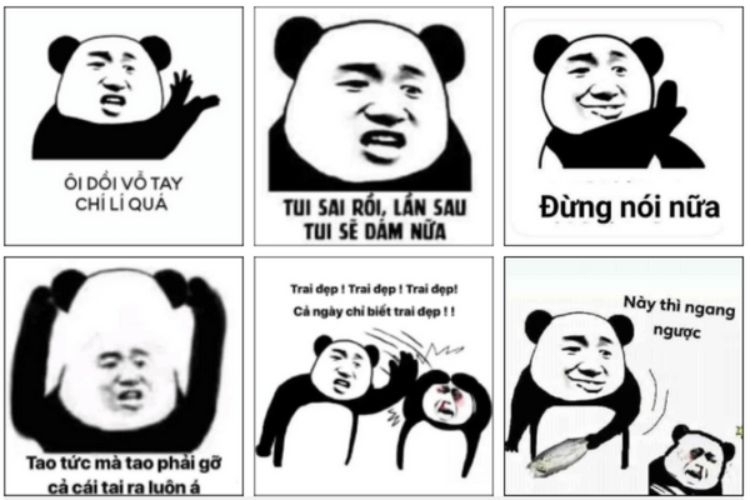 meme gấu trúc