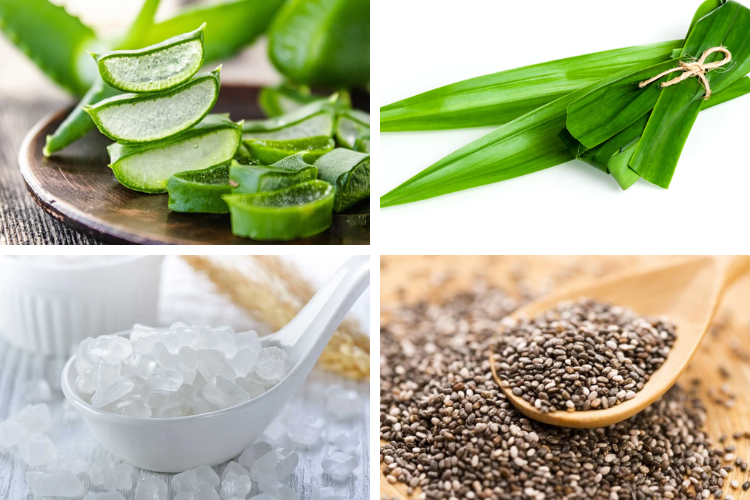 Cách nấu nha đam đường phèn không đắng, không nhớt thơm ngon, hấp dẫn, hợp khẩu vị của nhiều người hình 1