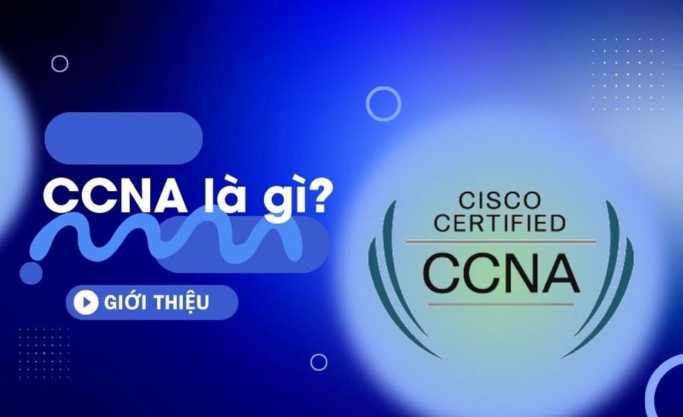 Theo dõi những kiến thức cơ bản về chứng chỉ