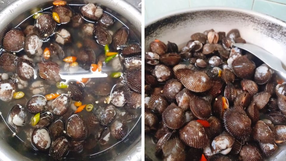 Sơ chế sò lông