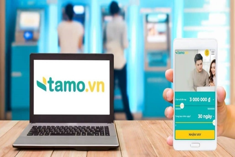 Cách tra cứu khoản vay Tamo nhanh chóng, chính xác