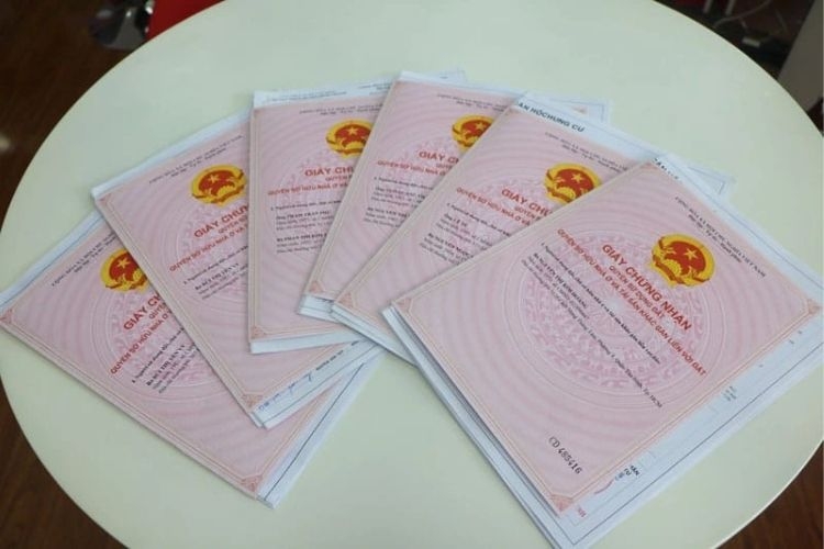 tra cứu Sổ đỏ online (hình 1)