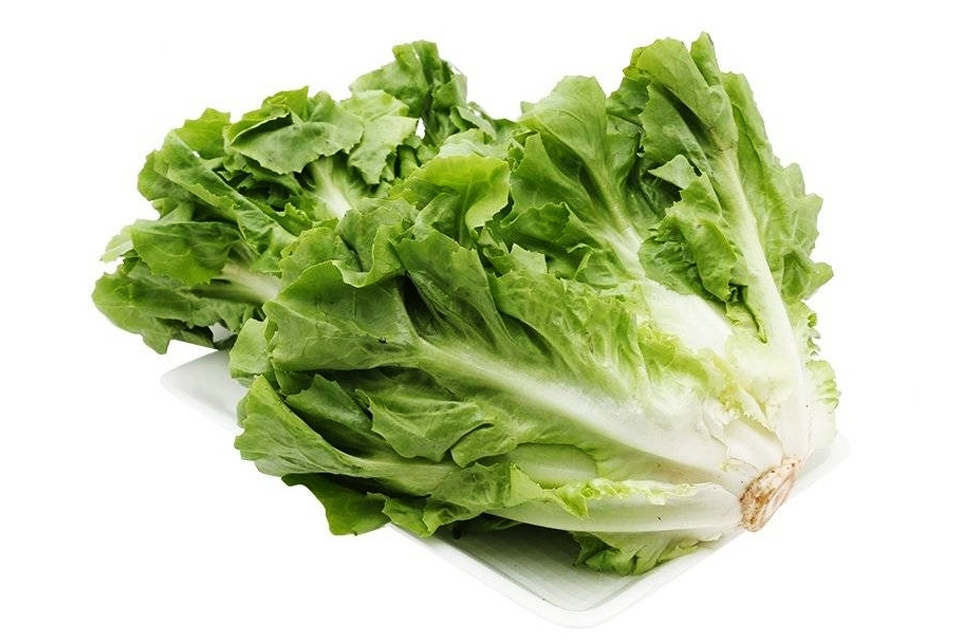Xà lách carol hay còn được gọi là diếp.
