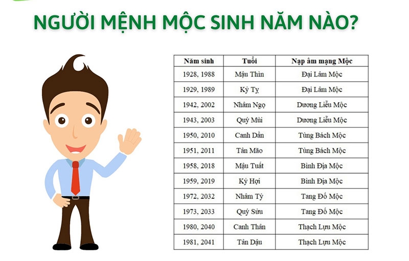 Mệnh Mộc hợp màu gì hình 1