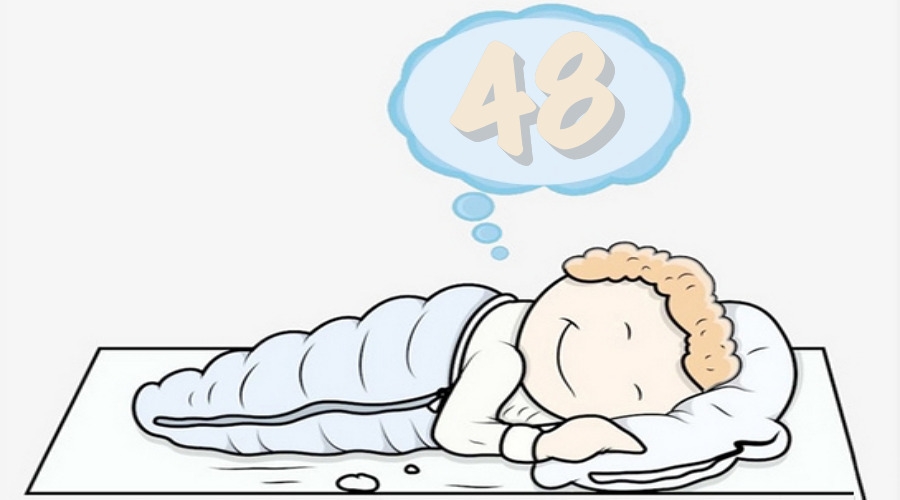 Mơ thấy số 48 là điềm báo tốt về công việc