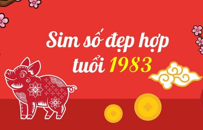 Có thể chọn sim số theo năm tuổi