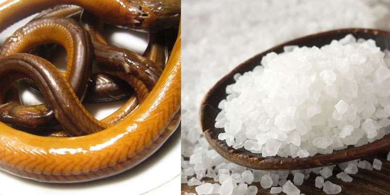 cách sơ chế lươn hình 2