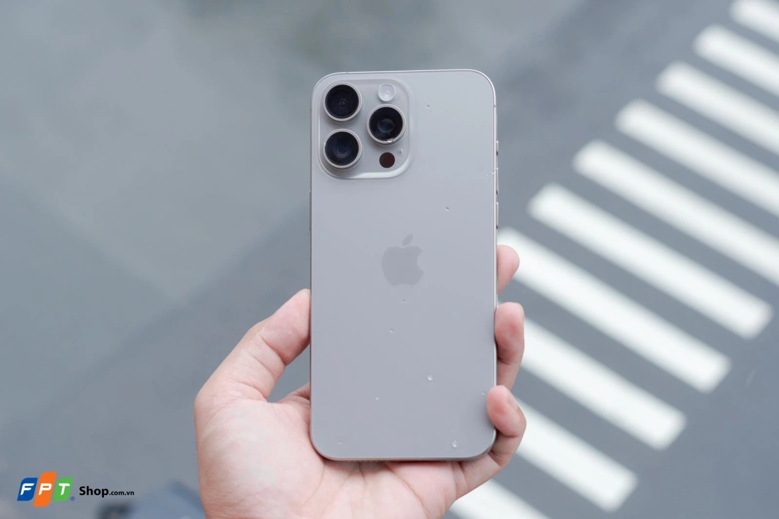 So sánh Galaxy S24 Plus và iPhone 15 Pro Max (ảnh 3)