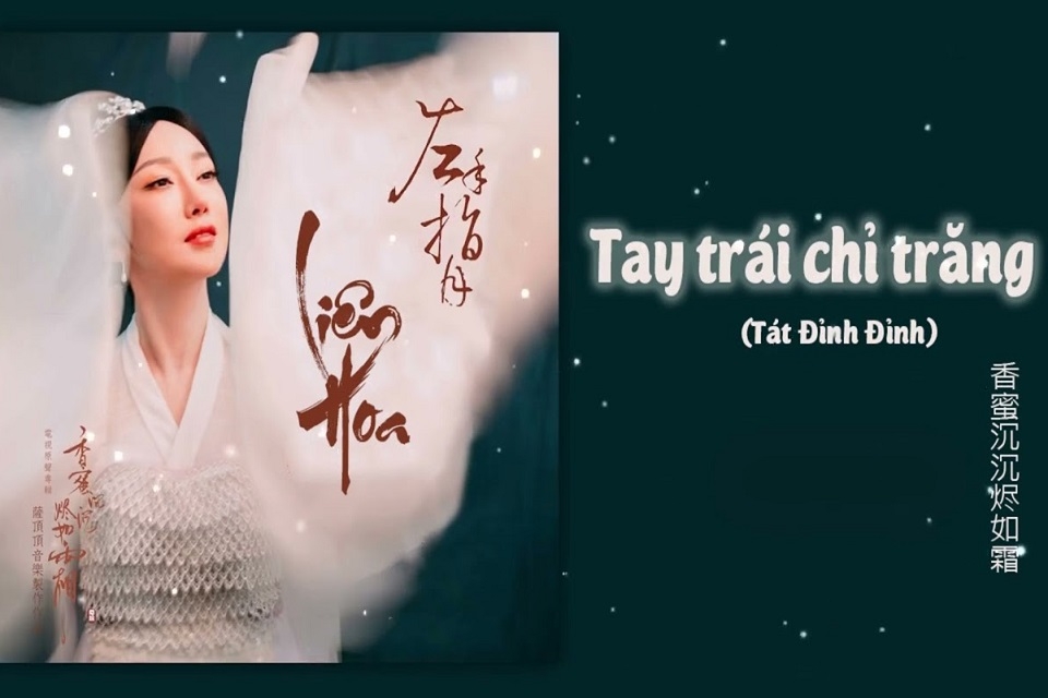 Nhạc Trung hot TikTok 7