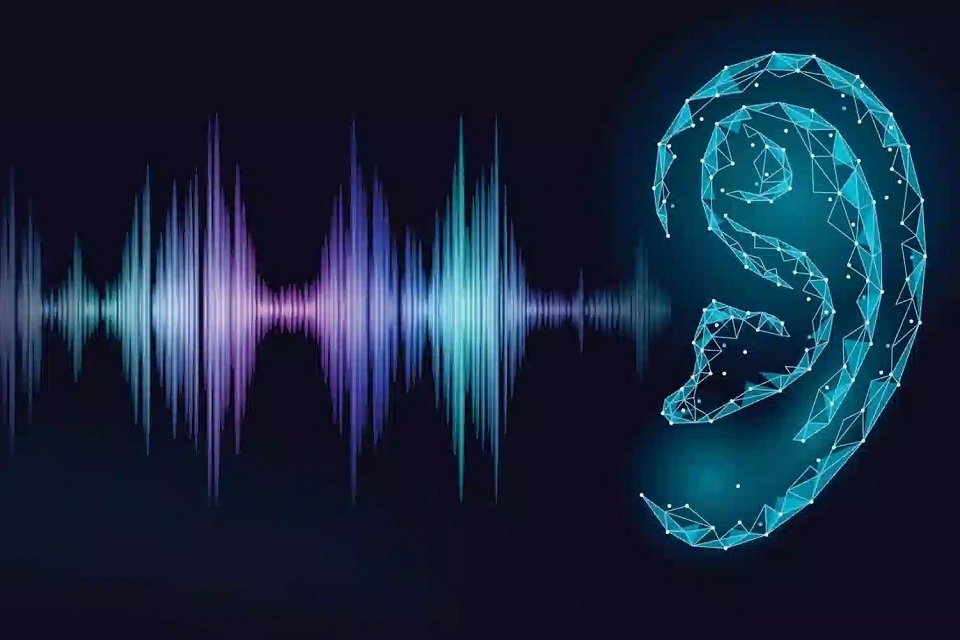 Tai người nghe được bao nhiêu Hz 1