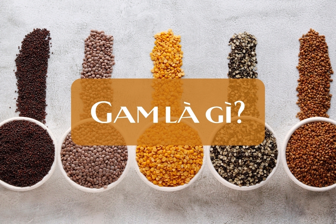 Gam là gì?