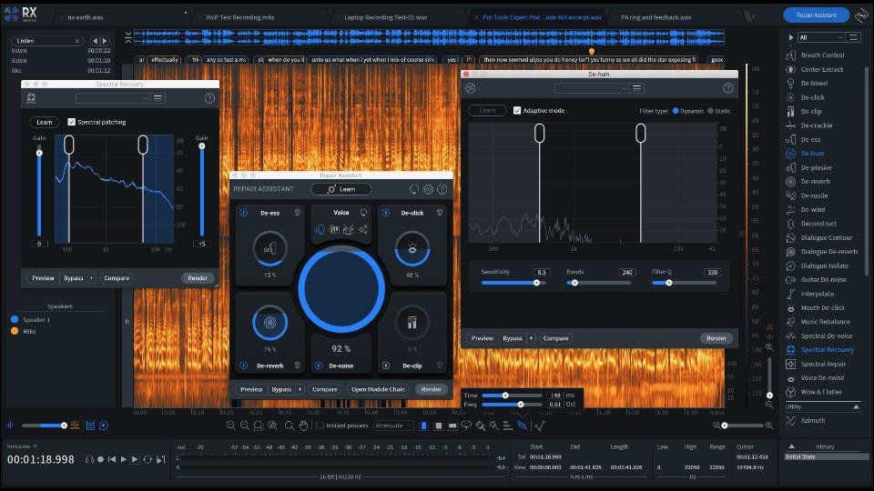 iZotope RX