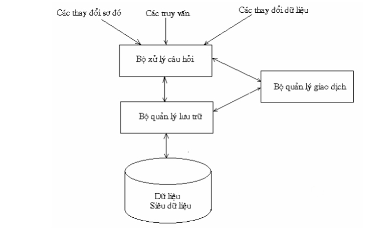 hệ quản trị cơ sở dữ liệu là gì 02