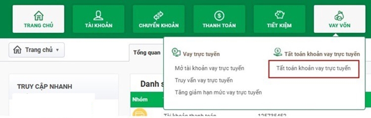 tra cứu khoản vay VPBank (hình 11)