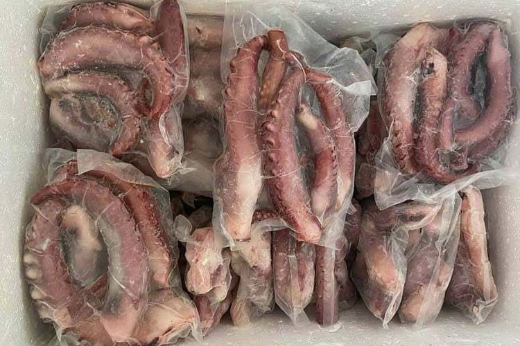 Bạch tuộc được bảo quản trong ngăn đông tủ lạnh