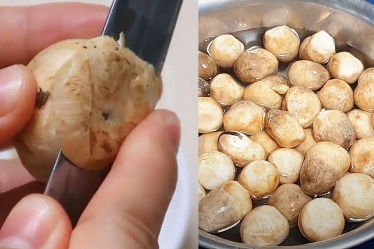 Cách sơ chế nấm rơm tươi