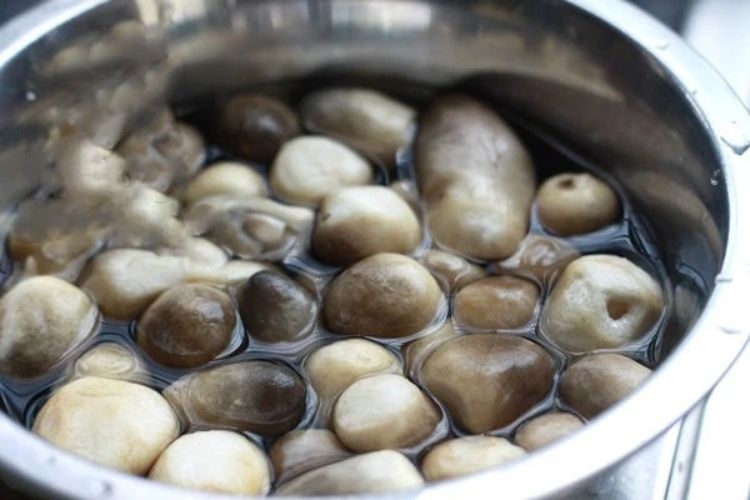 Ngâm nấm rơm khô trong nước ấm