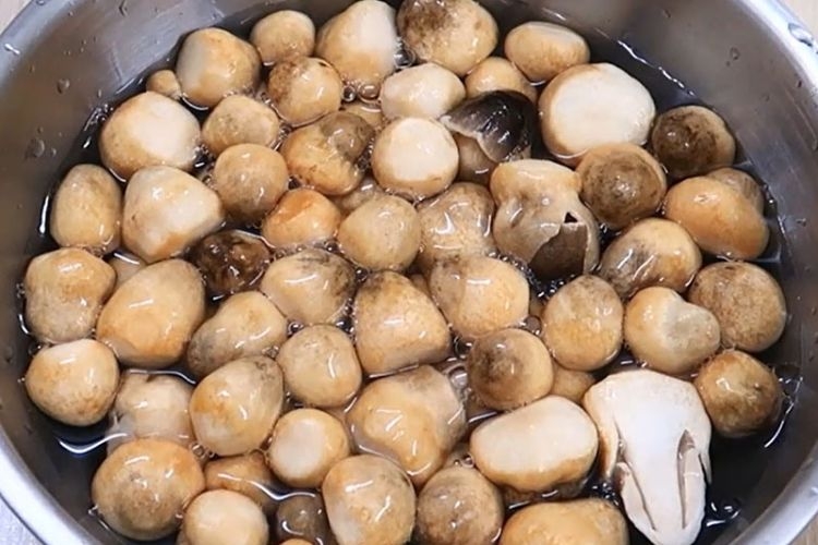 Rửa nấm với vòi nước trực tiếp làm chảy trôi các chất dinh dưỡng