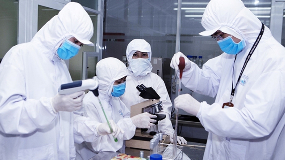 Nhóm ngành về lĩnh vực Sản xuất và Chế biến