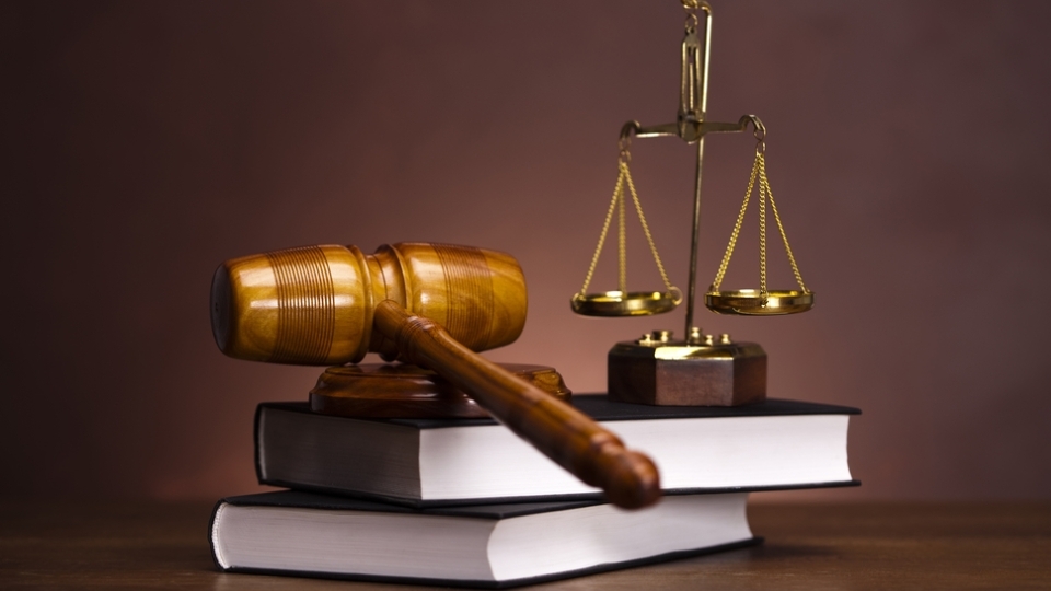 Nhóm ngành về Pháp luật