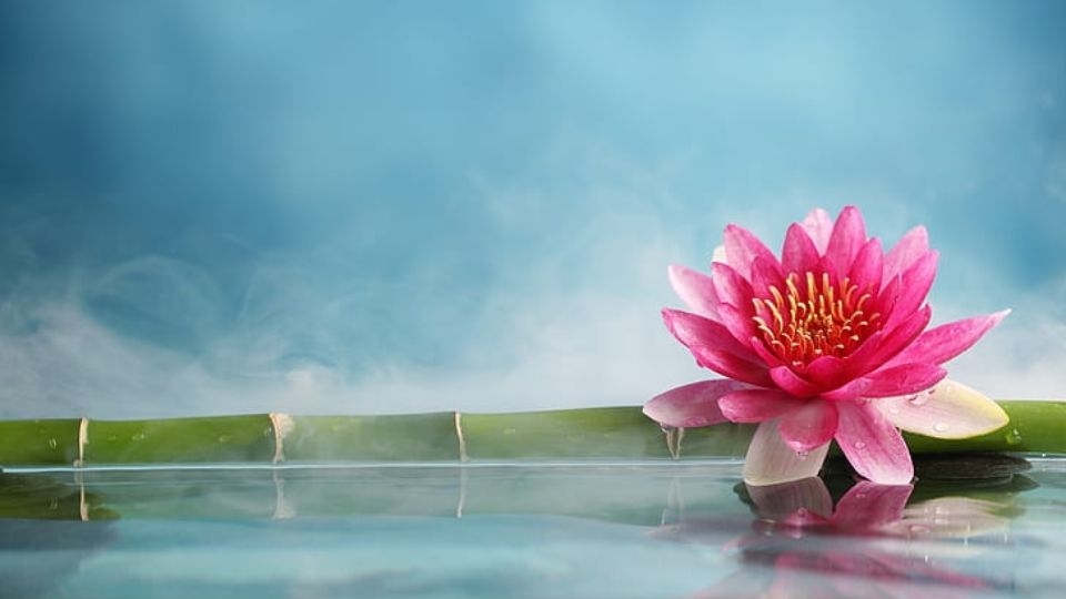 Những câu nói hay về tâm đức