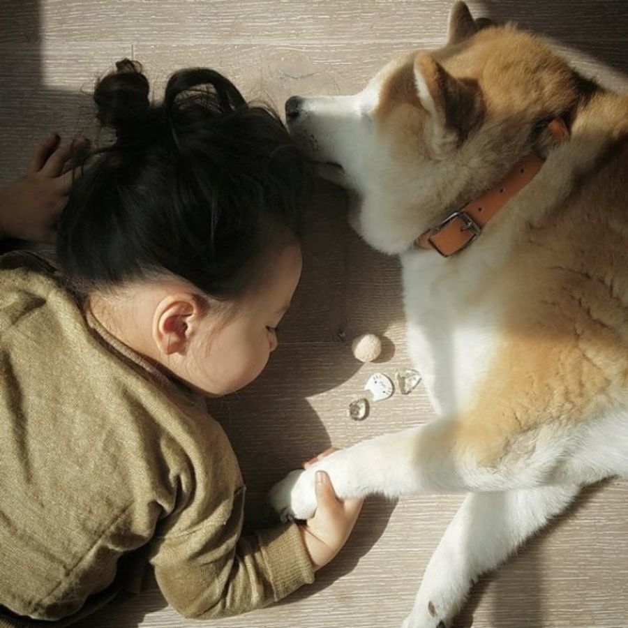 chó và em bé dễ thương