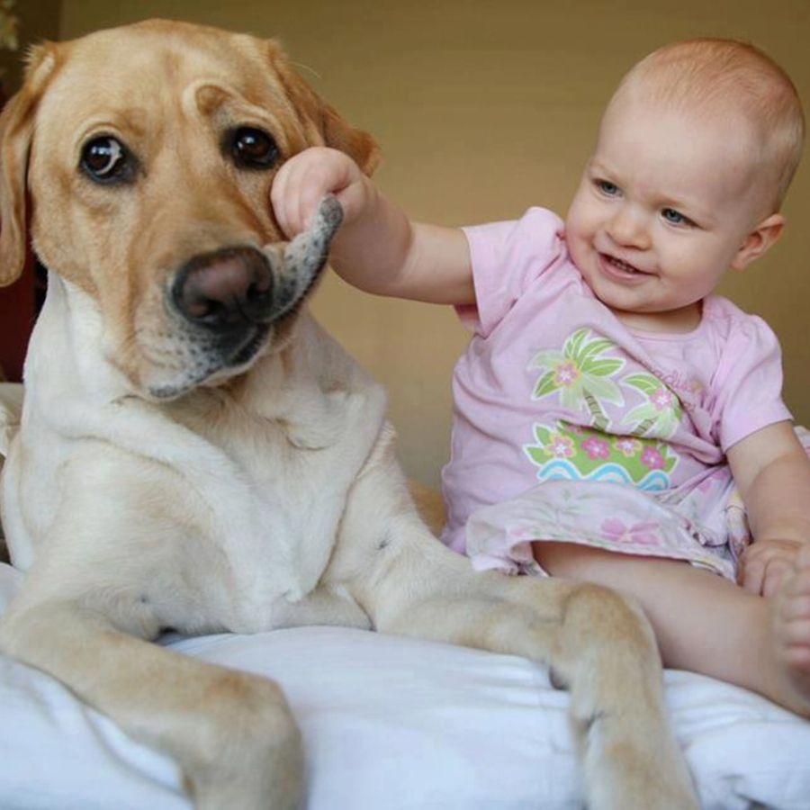 avt em bé và chó cute