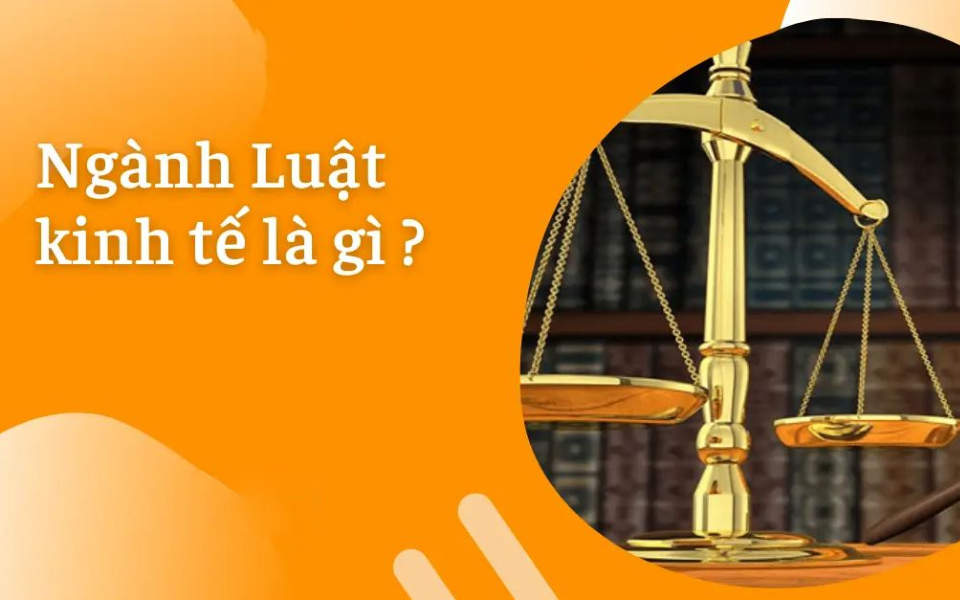Ngành luật kinh tế kết hợp giữa kiến thức về luật và kinh tế