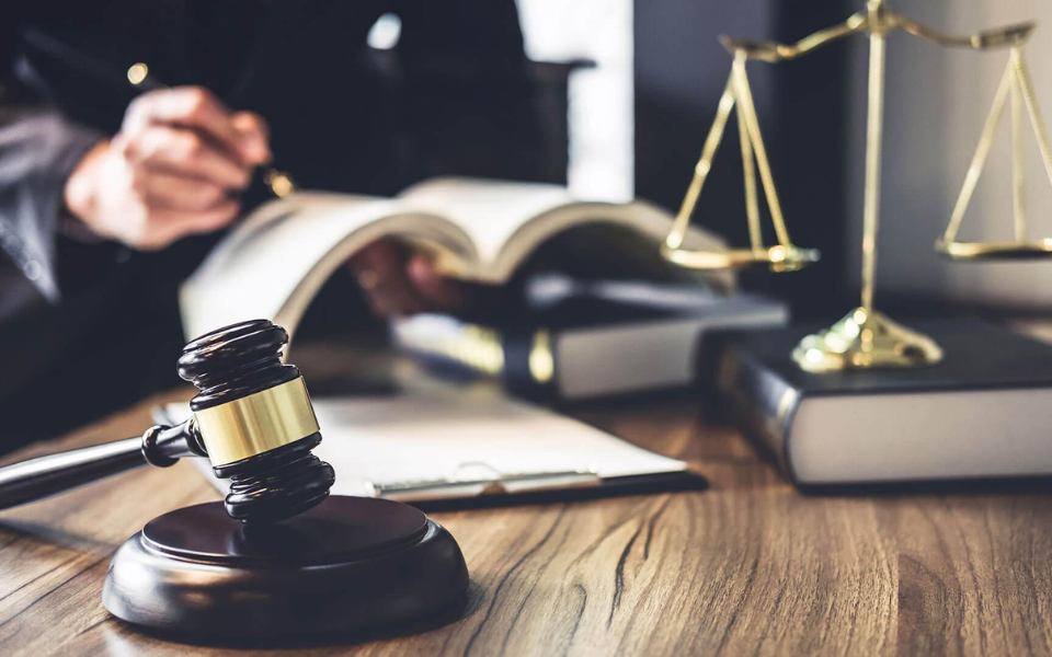 Nhiều trường đại học giảng dạy ngành luật kinh tế chất lượng cao