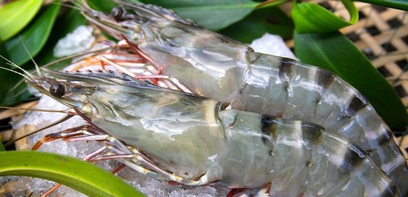 cách làm bánh bột lọc Huế - hình 2