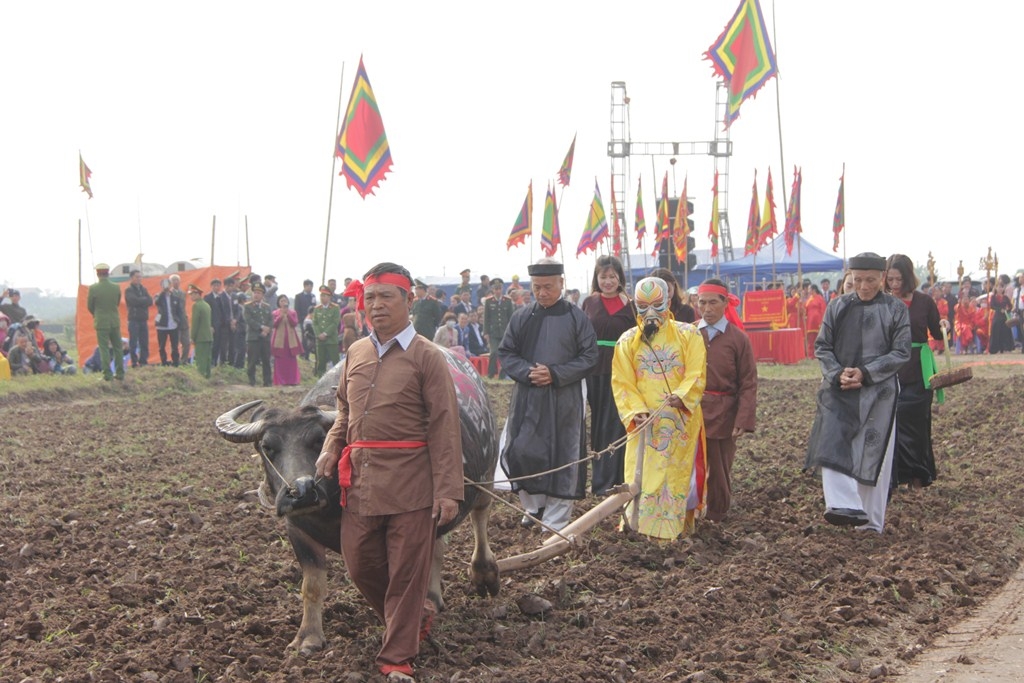 Khai cày - trồng cây