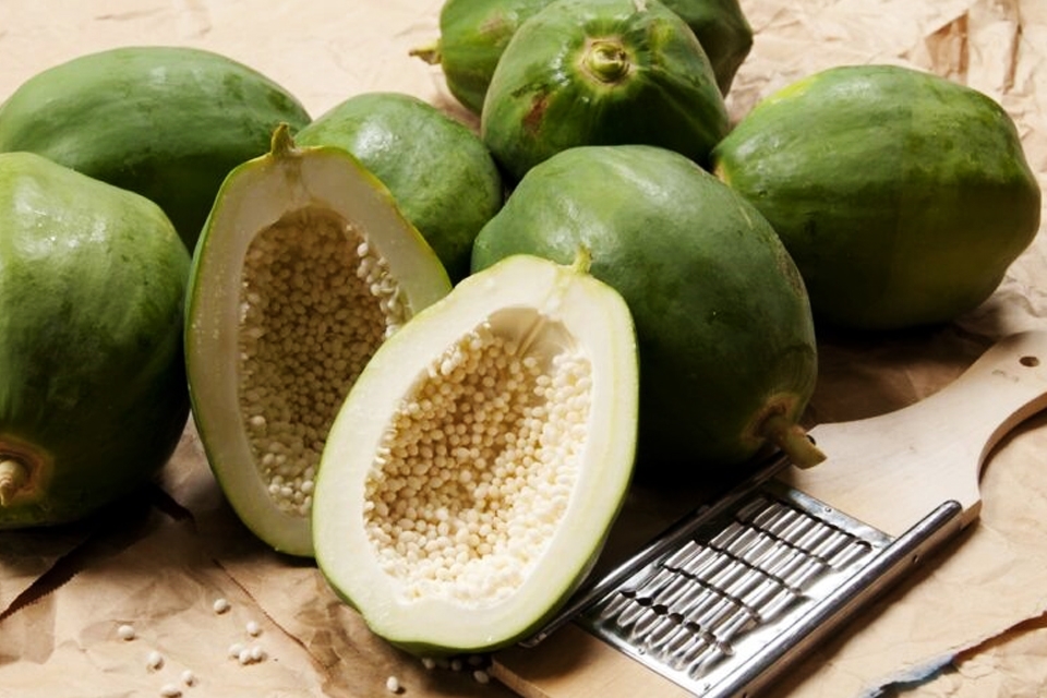 Đu đủ mang đến nhiều lợi ích tốt cho sức khỏe.