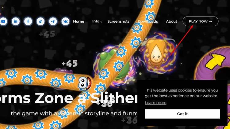 WormsZone io (hình 13)