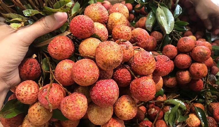 cách làm vải khô 2