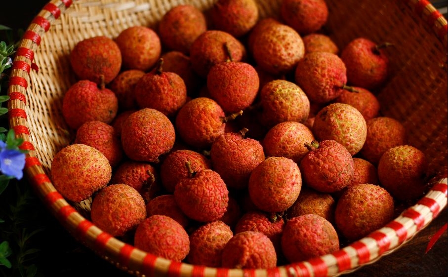 cách làm vải khô 3