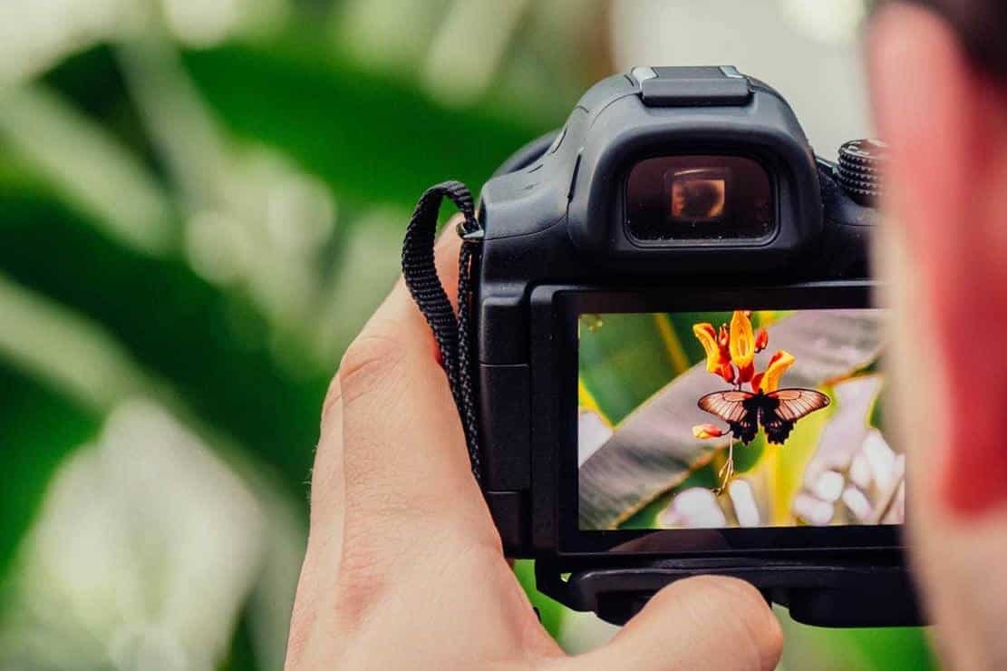 máy ảnh ra đời năm nào hình 13