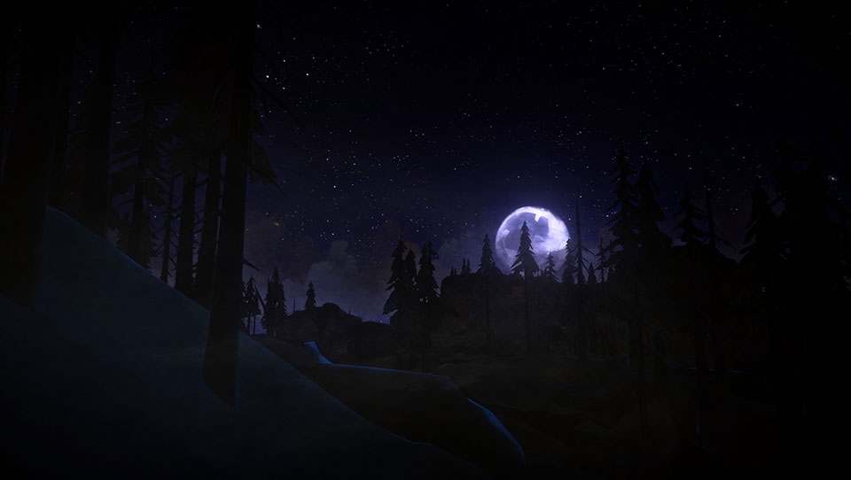 The Long Dark - Ảnh 08