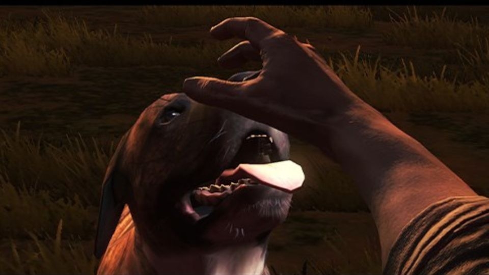 Các tính năng thú vị khác trong Into the Dead 2