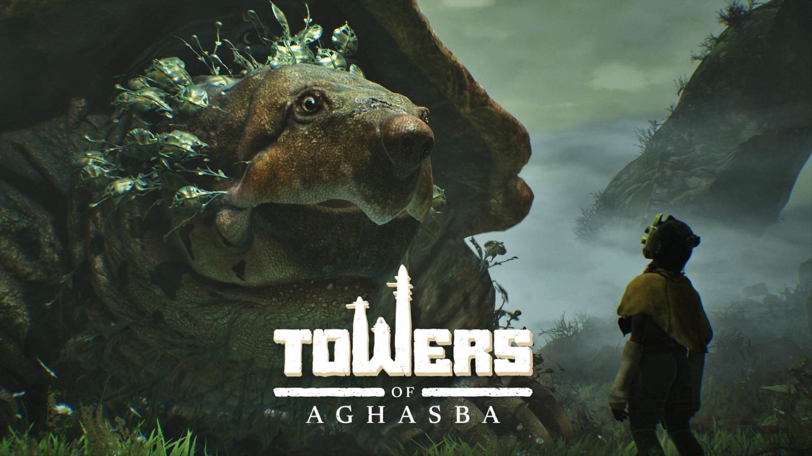 Towers of Aghasba 6