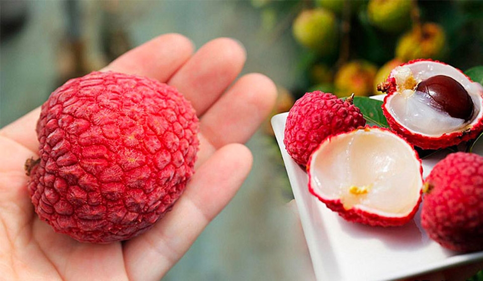 Cần chọn kỹ vải thiều ngon để ngâm rượu