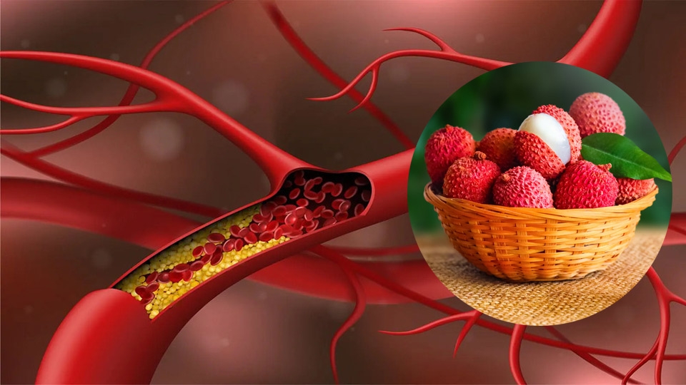 Vải giúp giảm cholesterol trong máu