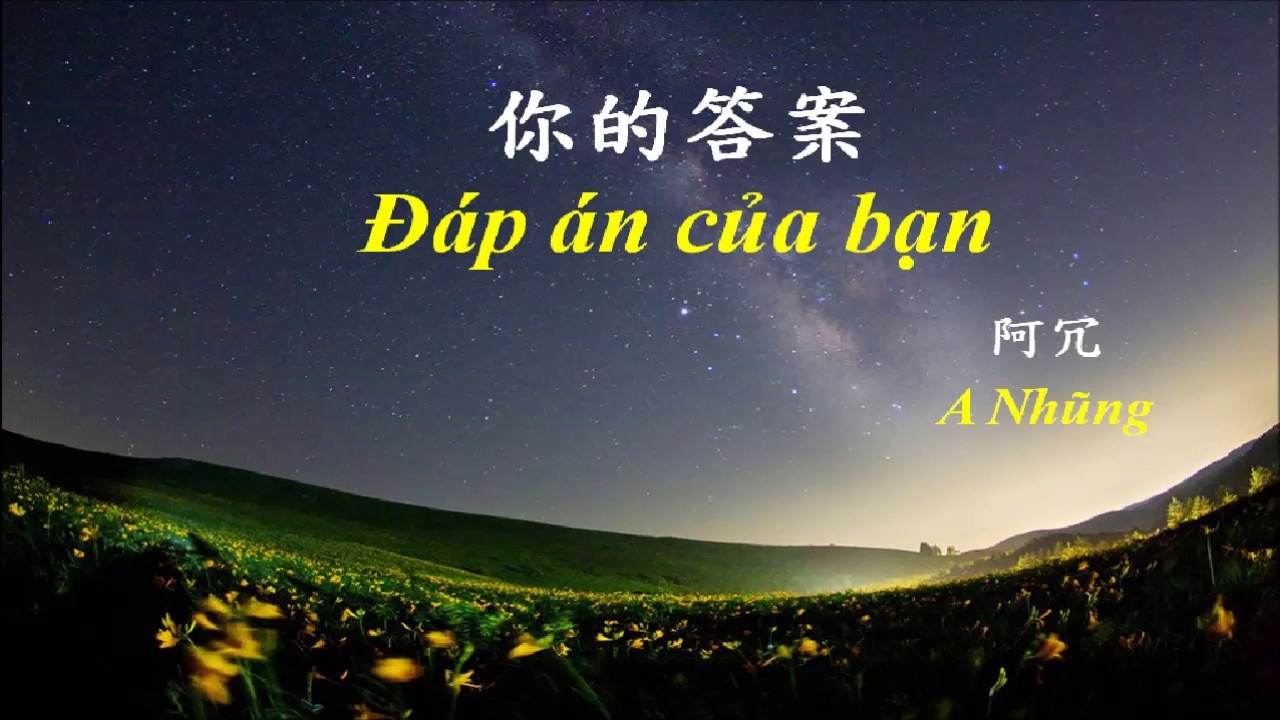 nhạc hoa tiktok hình 4
