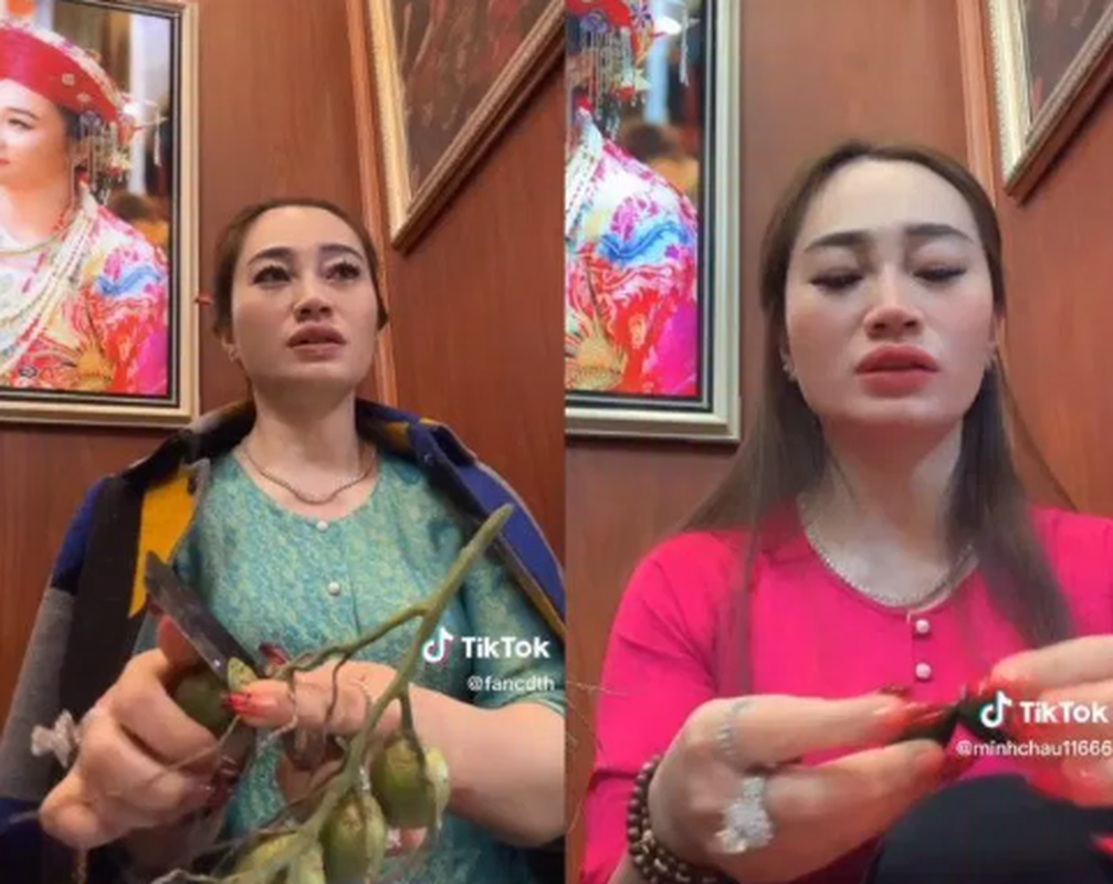 Bổ quả cau cô thấy... chính là câu nói cửa miệng của cô đồng Hương Trương