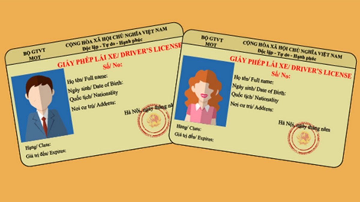 tra cứu giấy phép lái xe theo cmnd - hình 5